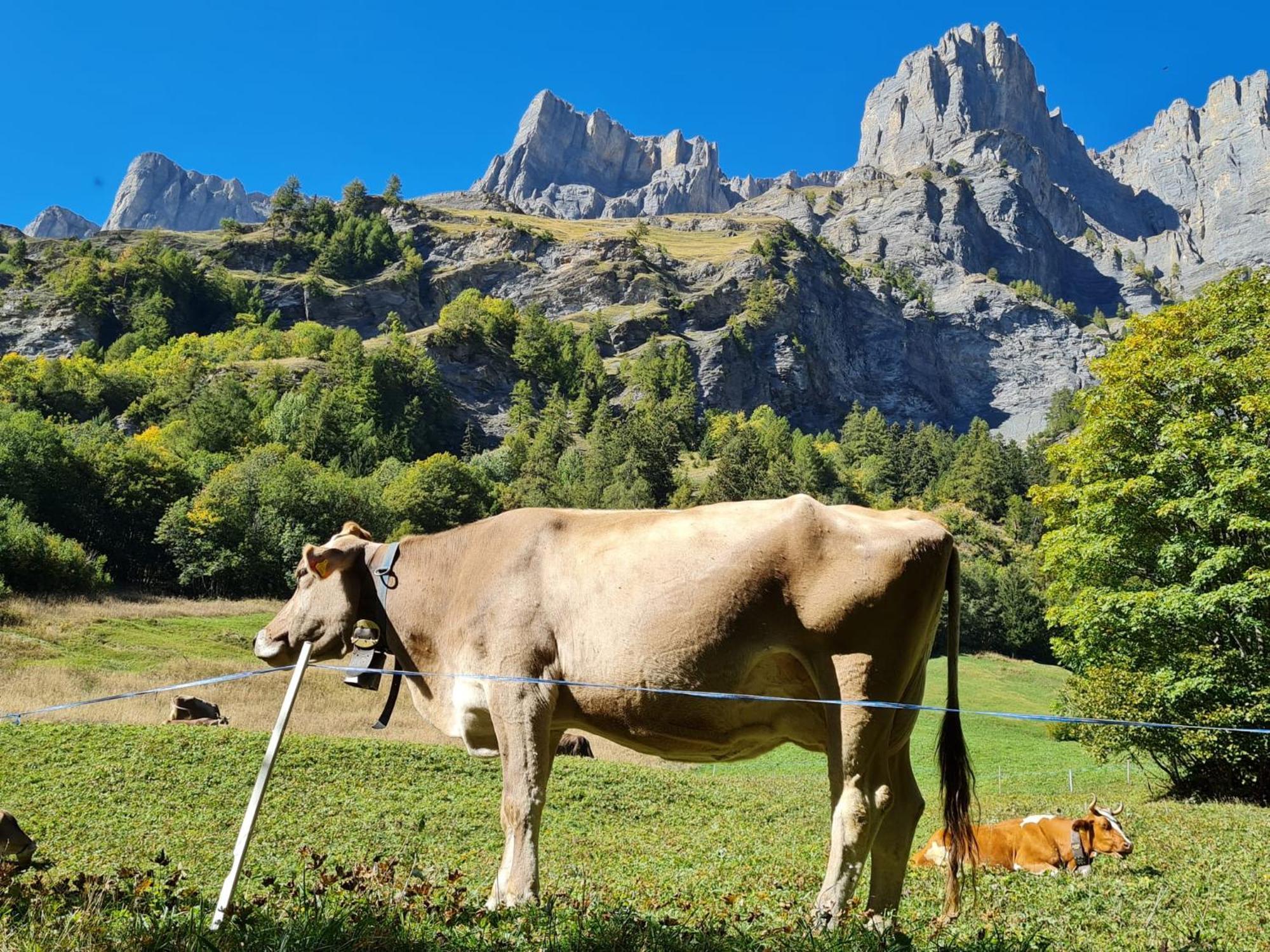 Bellathos अपार्टमेंट Leukerbad
